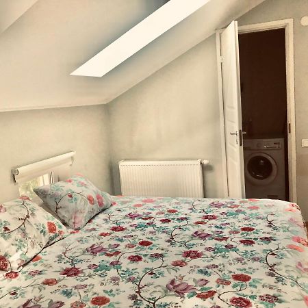 Cozy City Penthouse Apartment, Free Parking Tallinn Eksteriør billede